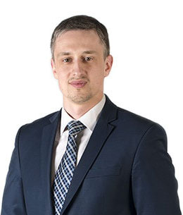 Дмитрий Ильич Рейнштейн