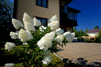 Отличия дома престарелых, интерната и пансионата